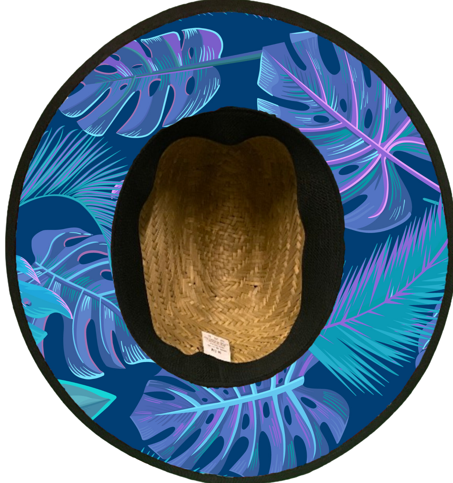 Miami Palms