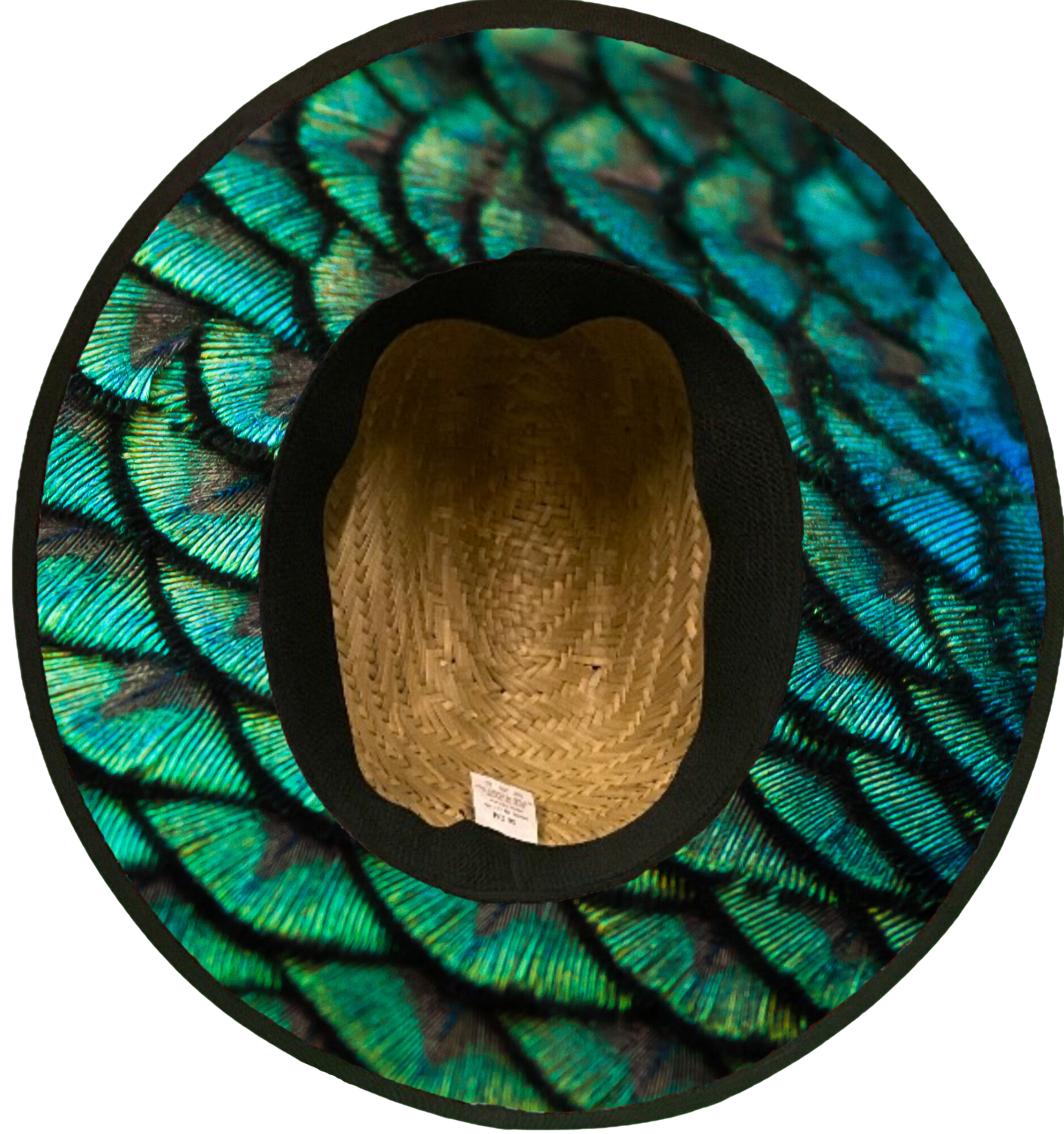 Beautiful Plumage