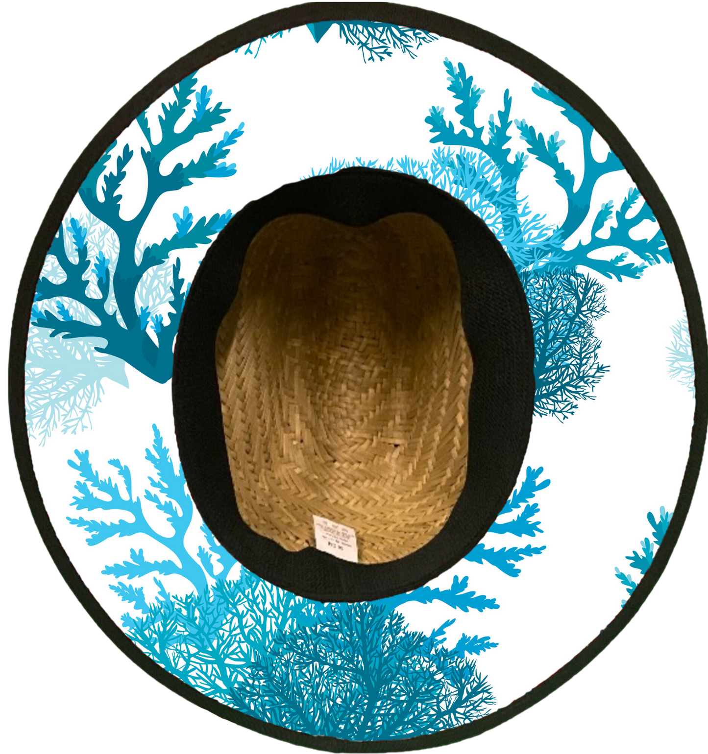 Blue Coral