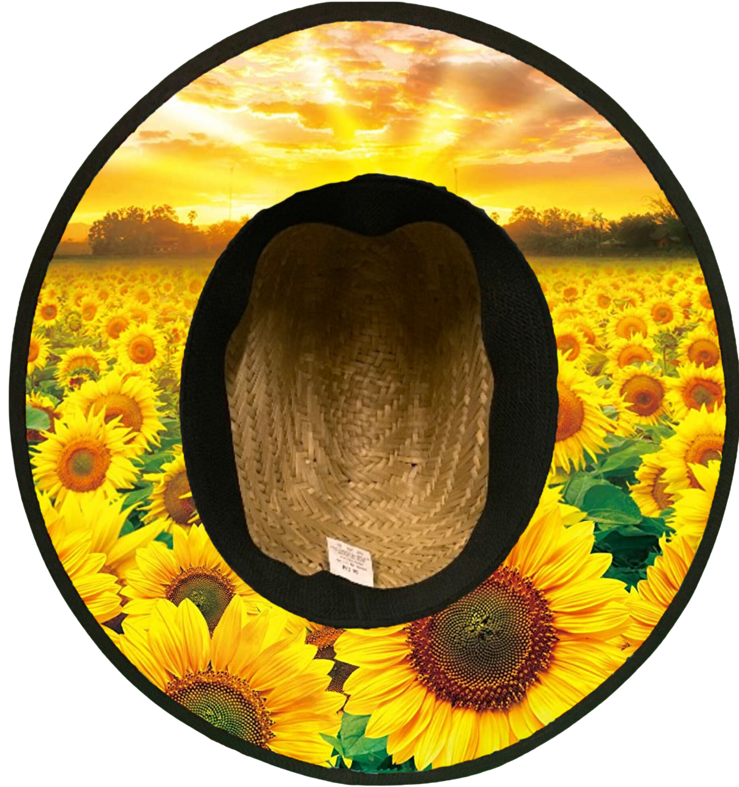 Sunflower Sunset