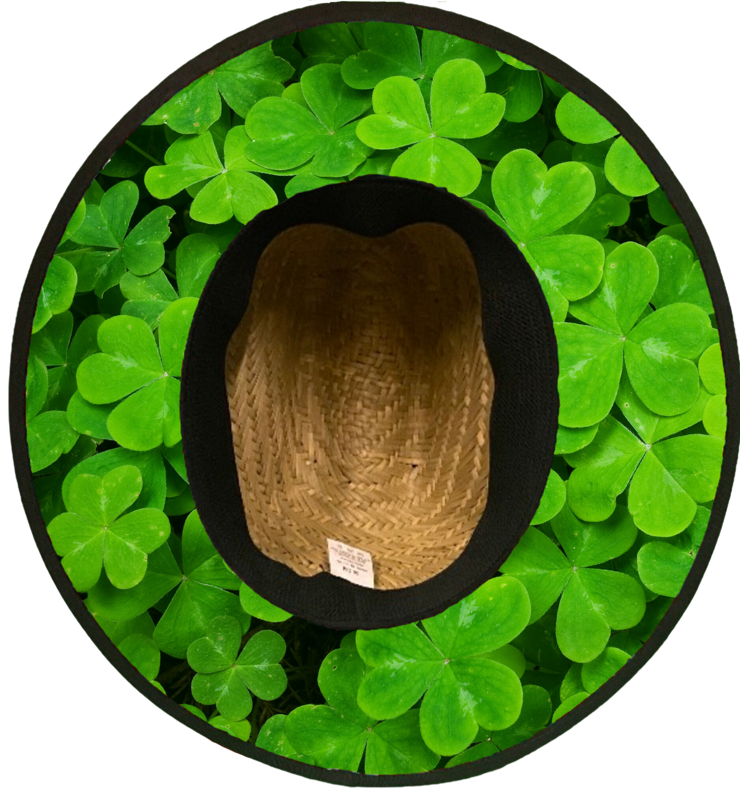 Clover Field