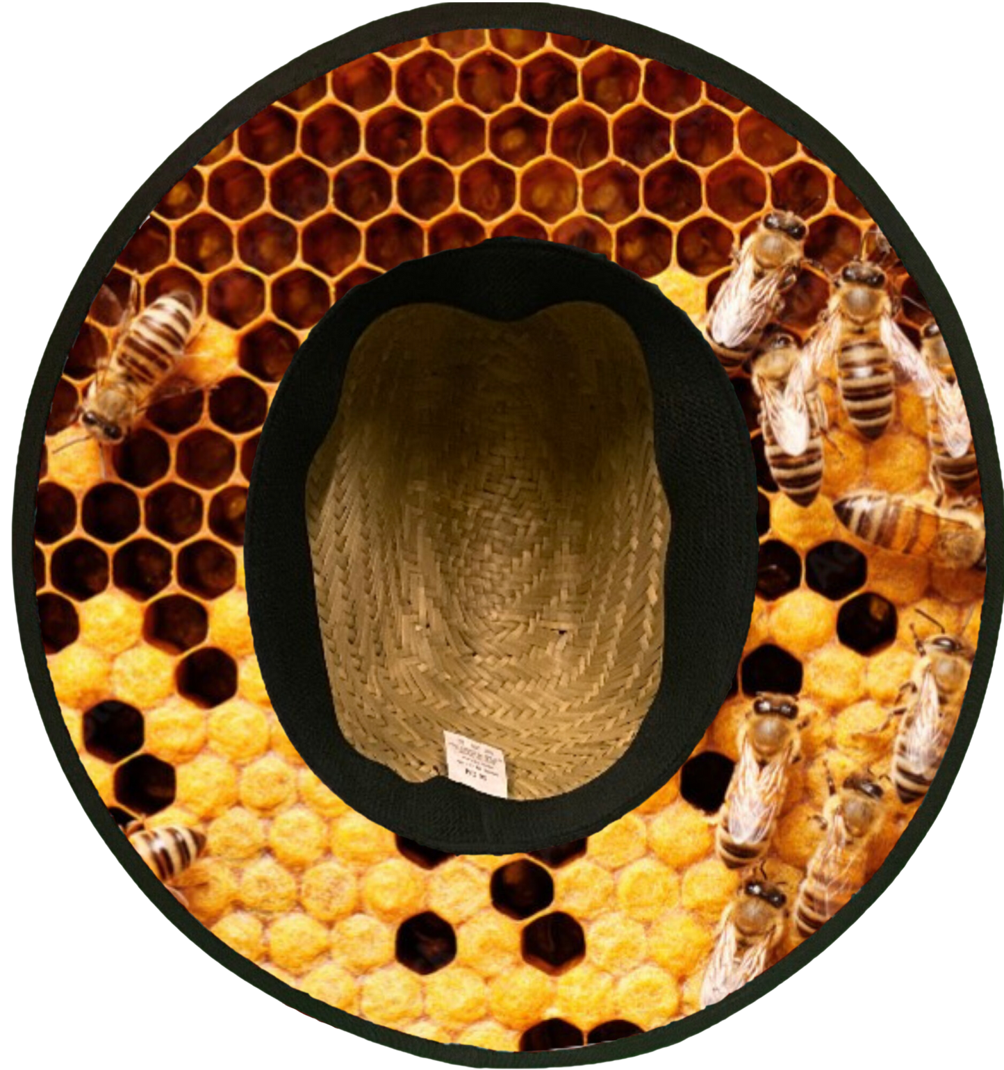 Hive