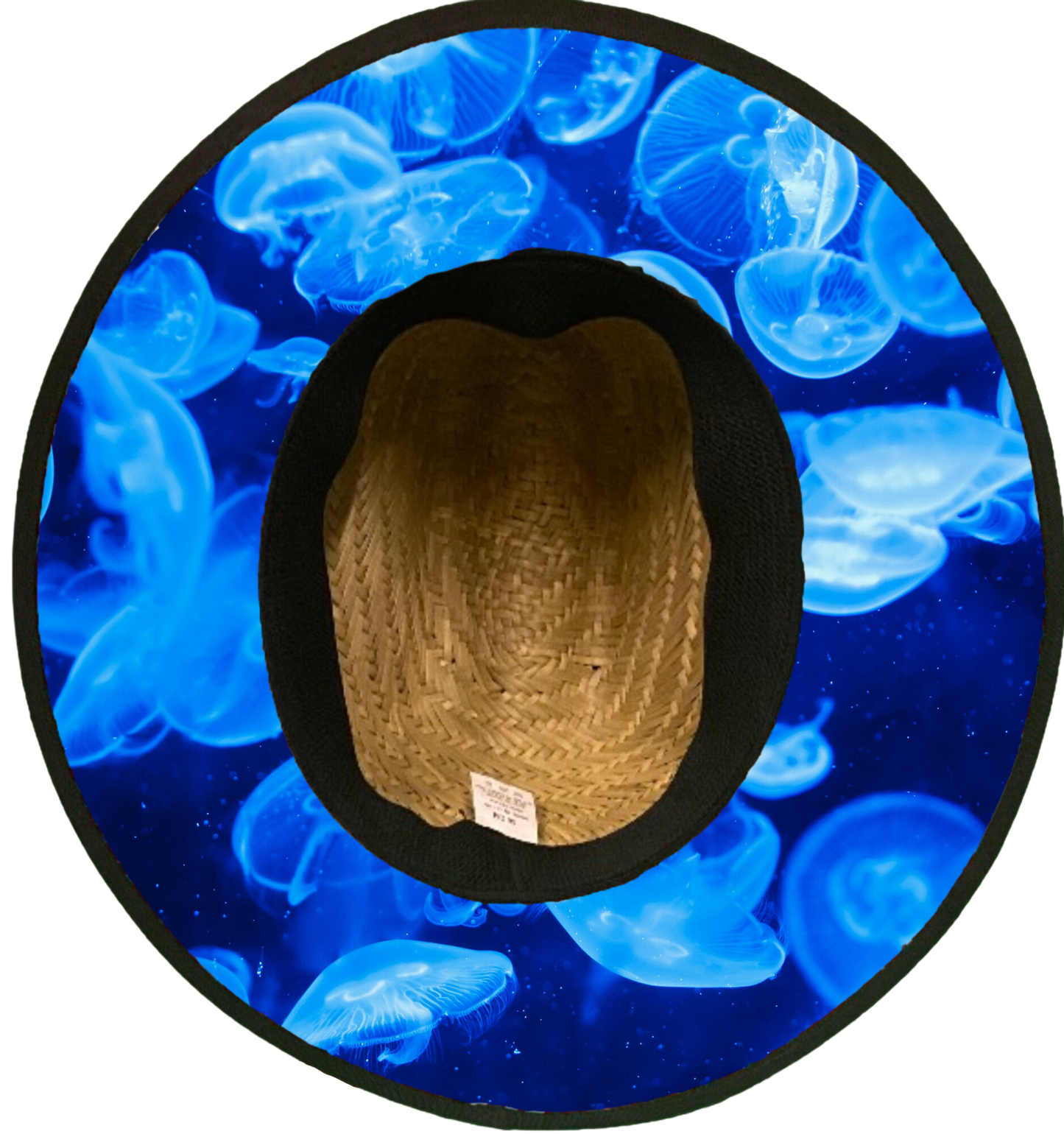 Jellyfish