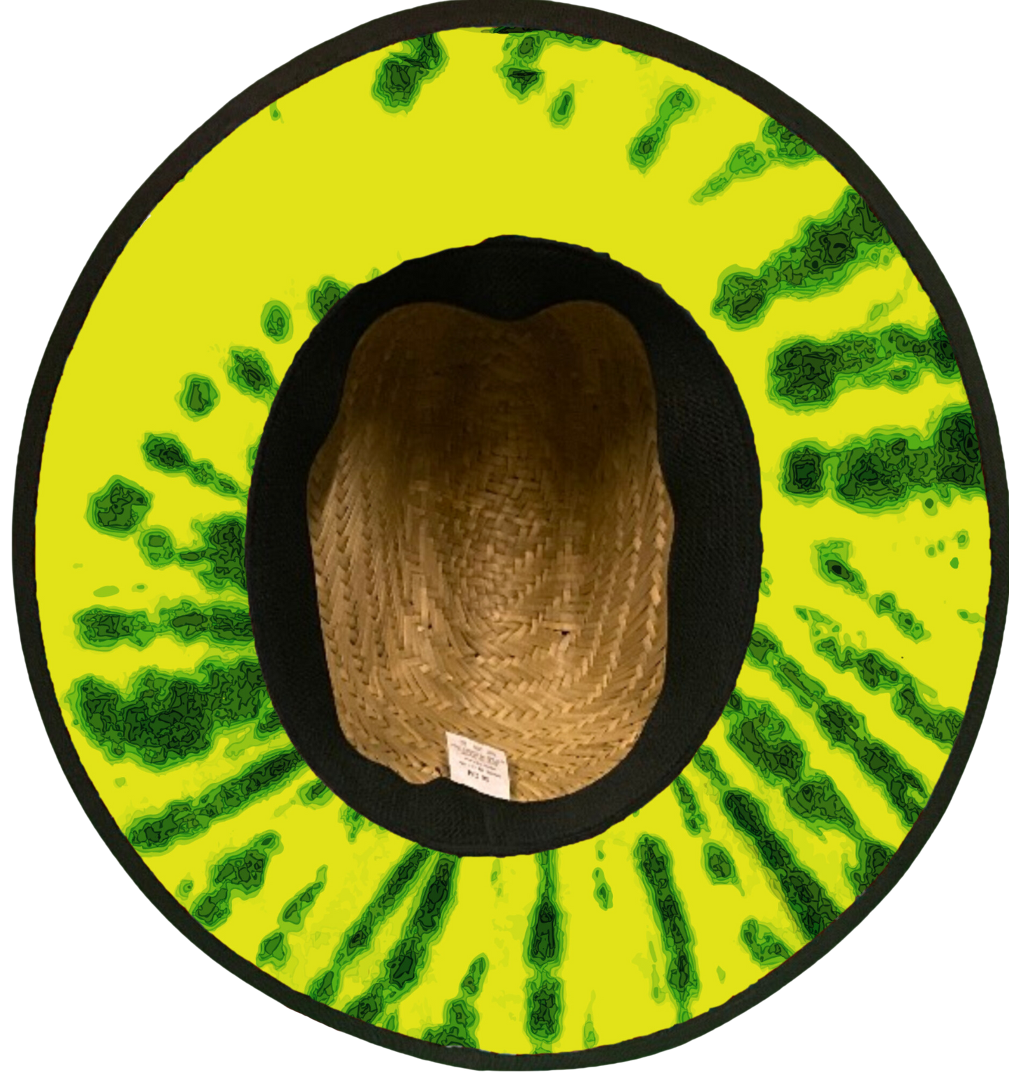 Fungi