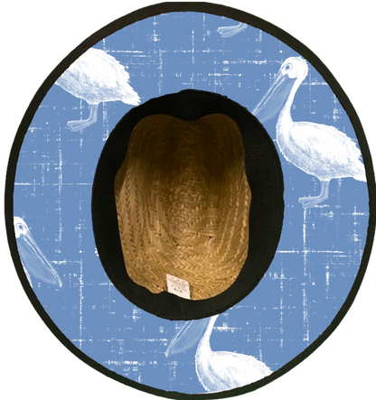 Pelican
