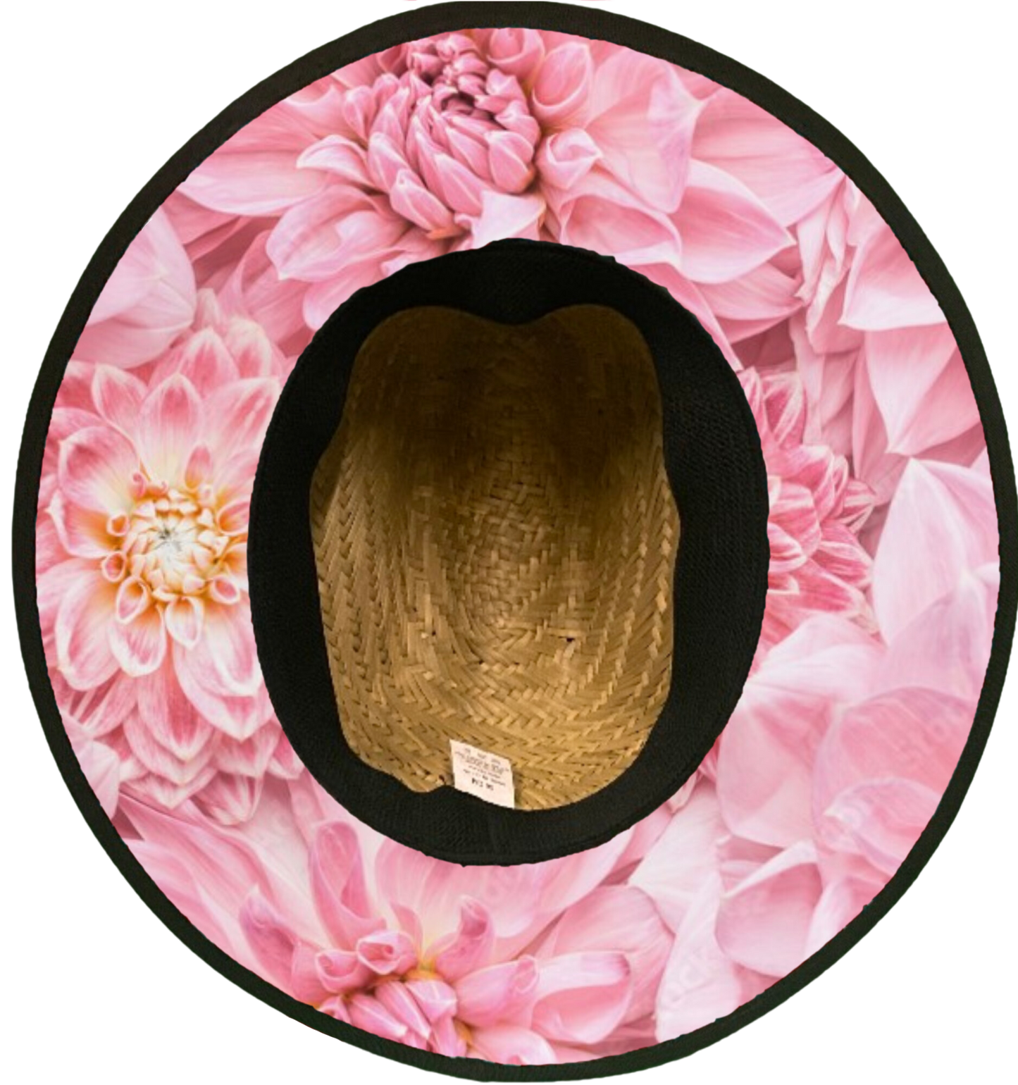 Pink Blossoms