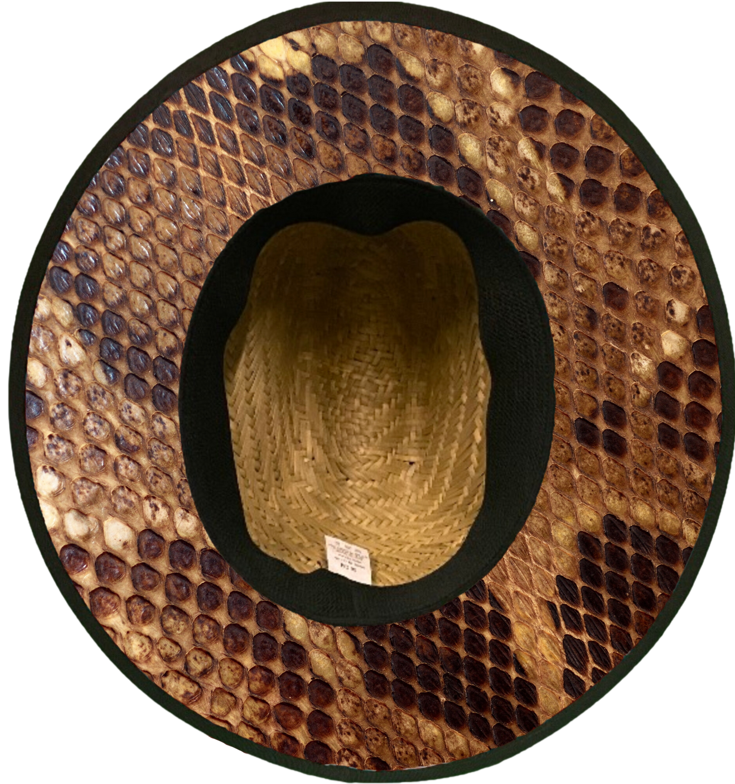 Snake Skin