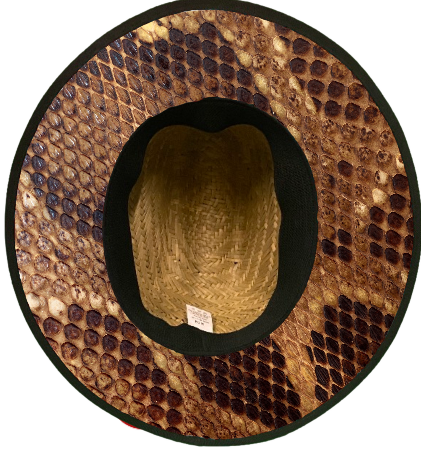 Snake Skin